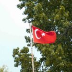 Ârif Nihat Asya ve Eserleri