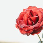 Na’t-ı Hazret-i Nebevî- Ken’an Rifâî