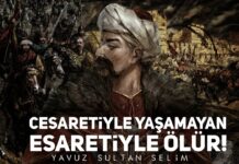 Türklüğünden Çıkma