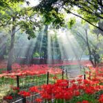 Cehennem nedir – Sâmiha Ayverdi