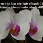 Heceleyin, Okuyun! Ken’an Rifâî