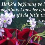“Sarhoştum”- Yusufçuk