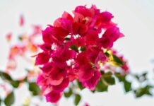 Vakt-i Şerifler Hayr’ola- Mart 2026