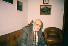 O Bir Dilâver’di