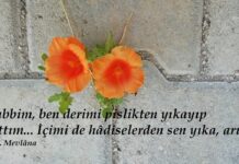 Vakt-i Şerifler Hayr’ola- Mayıs 2026
