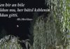 Vakt-i Şerifler Hayr’ola-Ağustos 2026