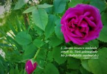 Vakt-i Şerifler Hayr’ola-Ağustos 202610 AĞUSTOS